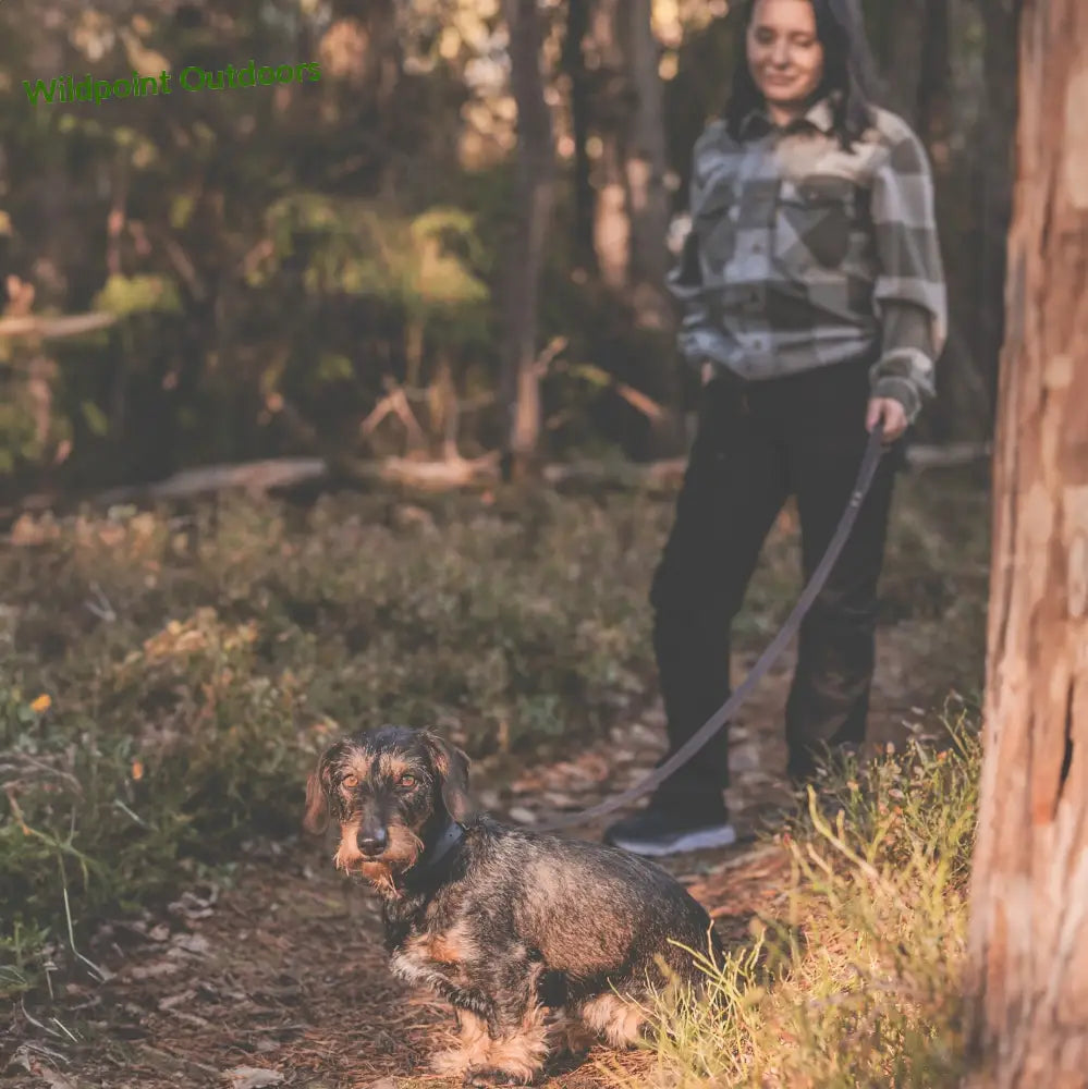 Roselli-koiran talutin käsilenkillä - accessories - wildpoint retkeily