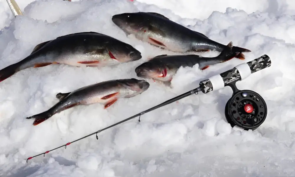 Scandinavian tackle quadstik 20 inch combo kevyt mustavalkoinen jääkalastusvapa punaisella napilla varustetulla kelalla