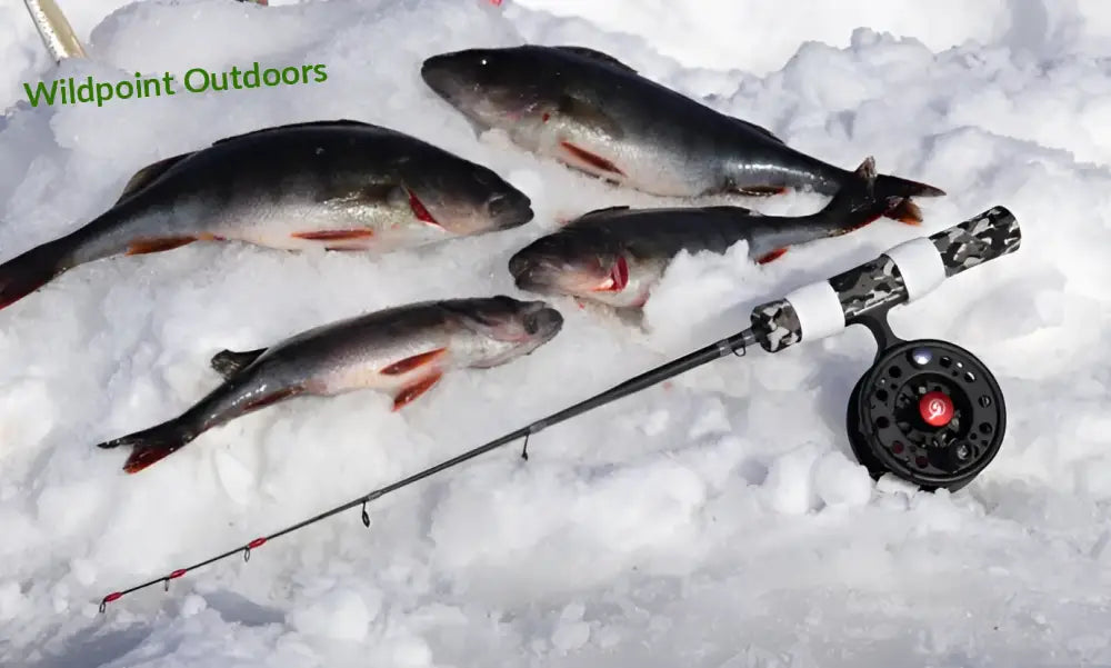 Scandinavian tackle quadstik 20’’ combo - wildpoint retkeily 26,90 €