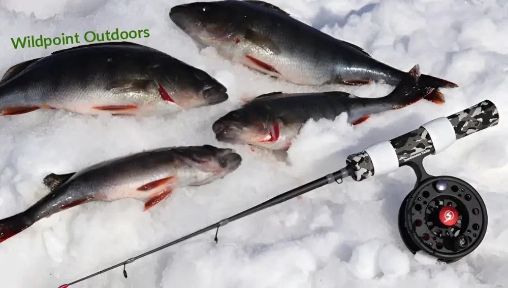 Scandinavian tackle quadstik 20’’ combo - wildpoint retkeily 26,90 €