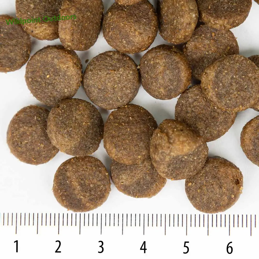 Sensitive rokka lohi - wildpoint outdoors retkeily