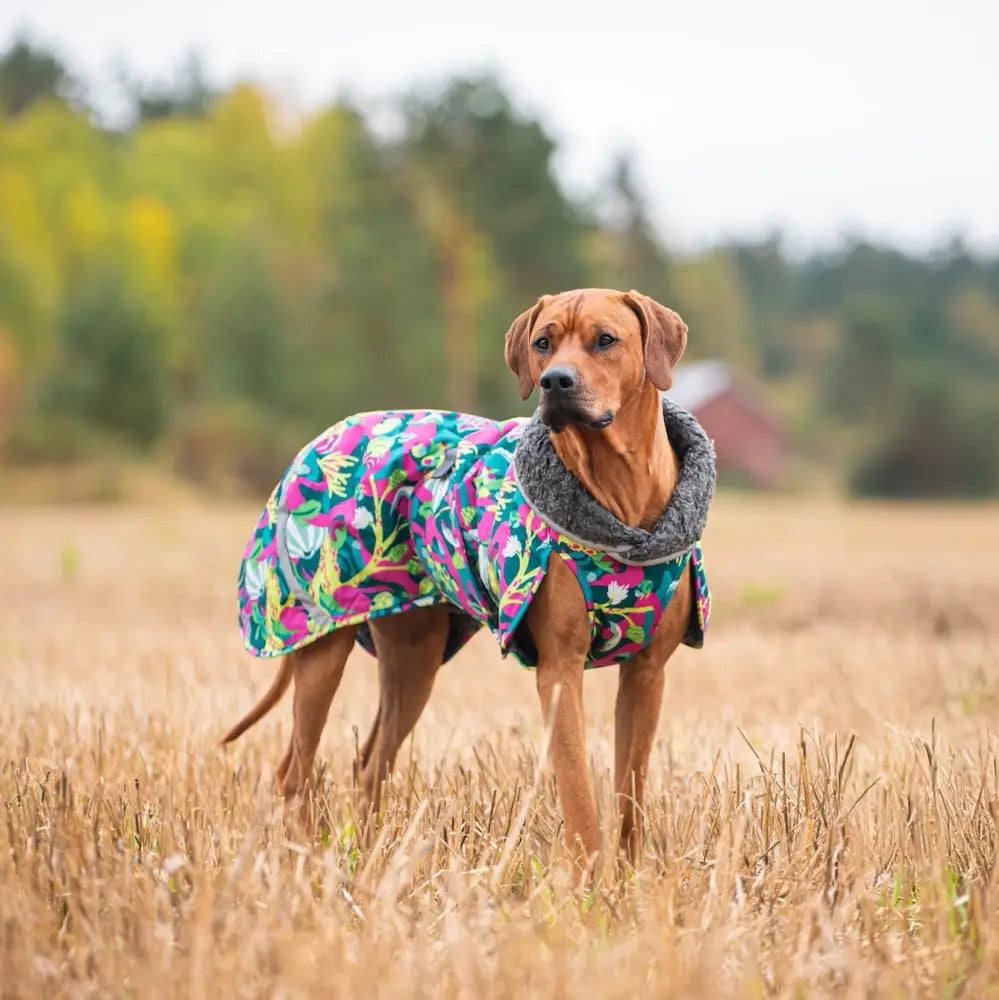 Toppapomppa trail - retkeily