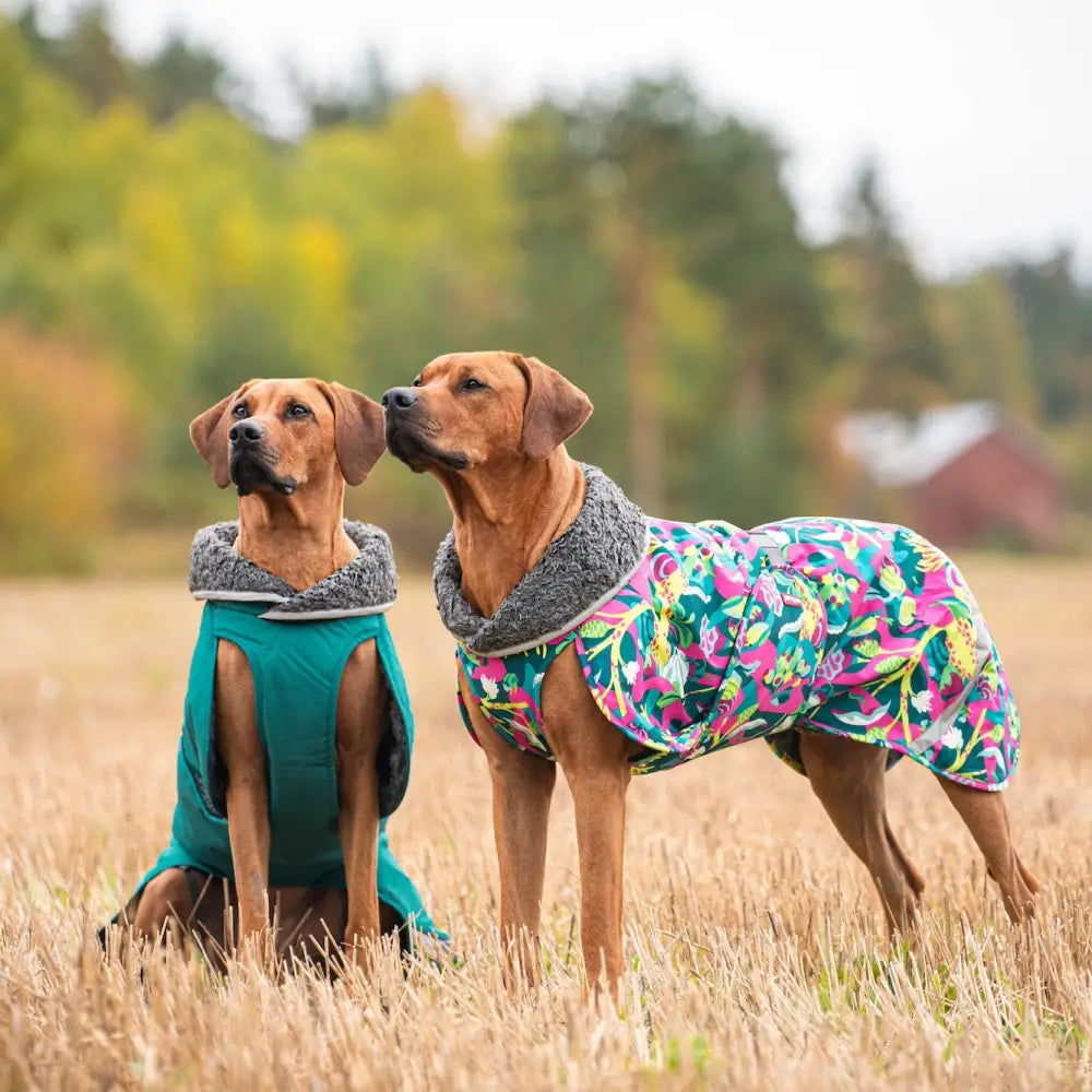 Toppapomppa trail - retkeily