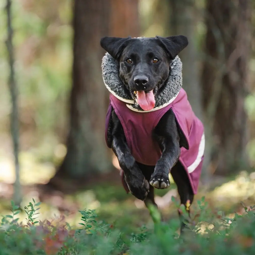 Toppapomppa trail - retkeily