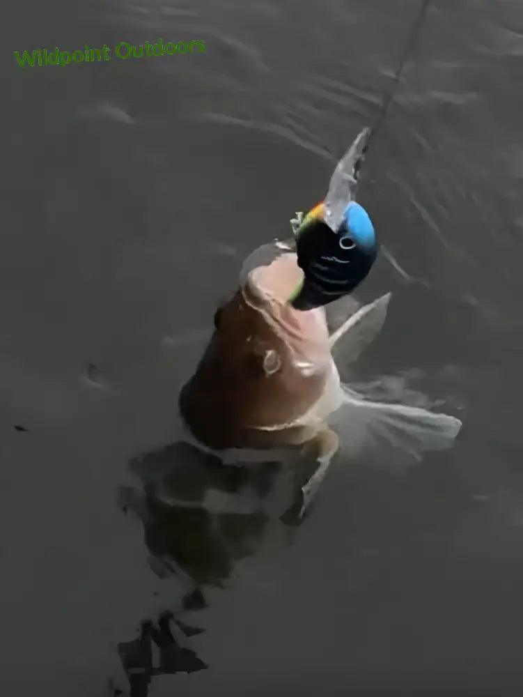 Mattamusta wobbler - pilvisen sään saalistaja 7cm 14g - retkeily 4,90 €